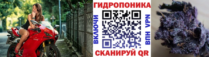 Амфетамин Новохопёрск