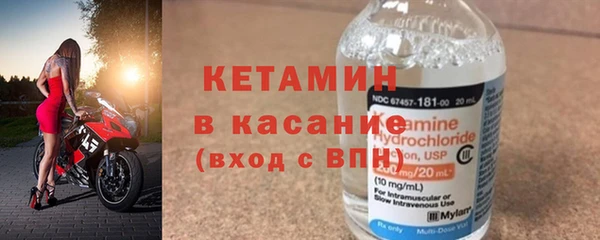 сатива Верея