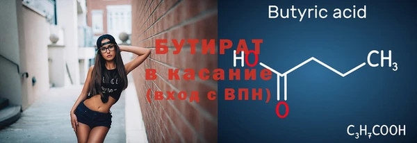 сатива Верея