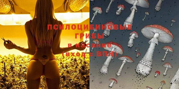 сатива Верея