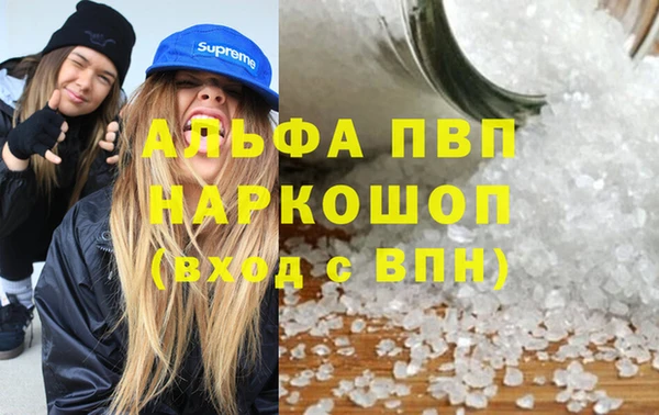 сатива Верея