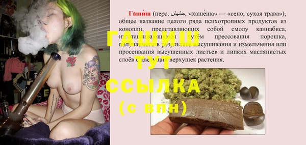 сатива Верея