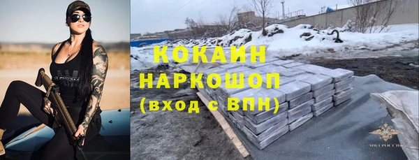 сатива Верея