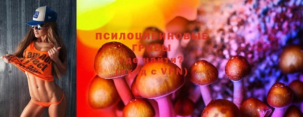 бутират Верхний Тагил
