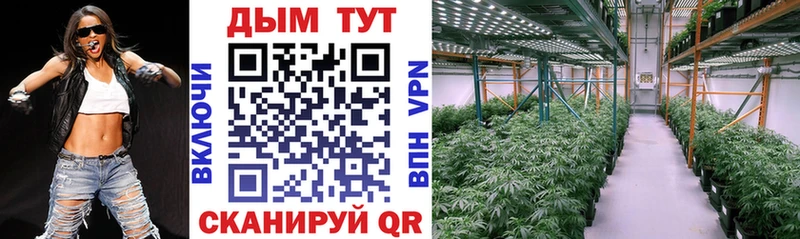 Канабис Amnesia  как найти закладки  Новохопёрск 